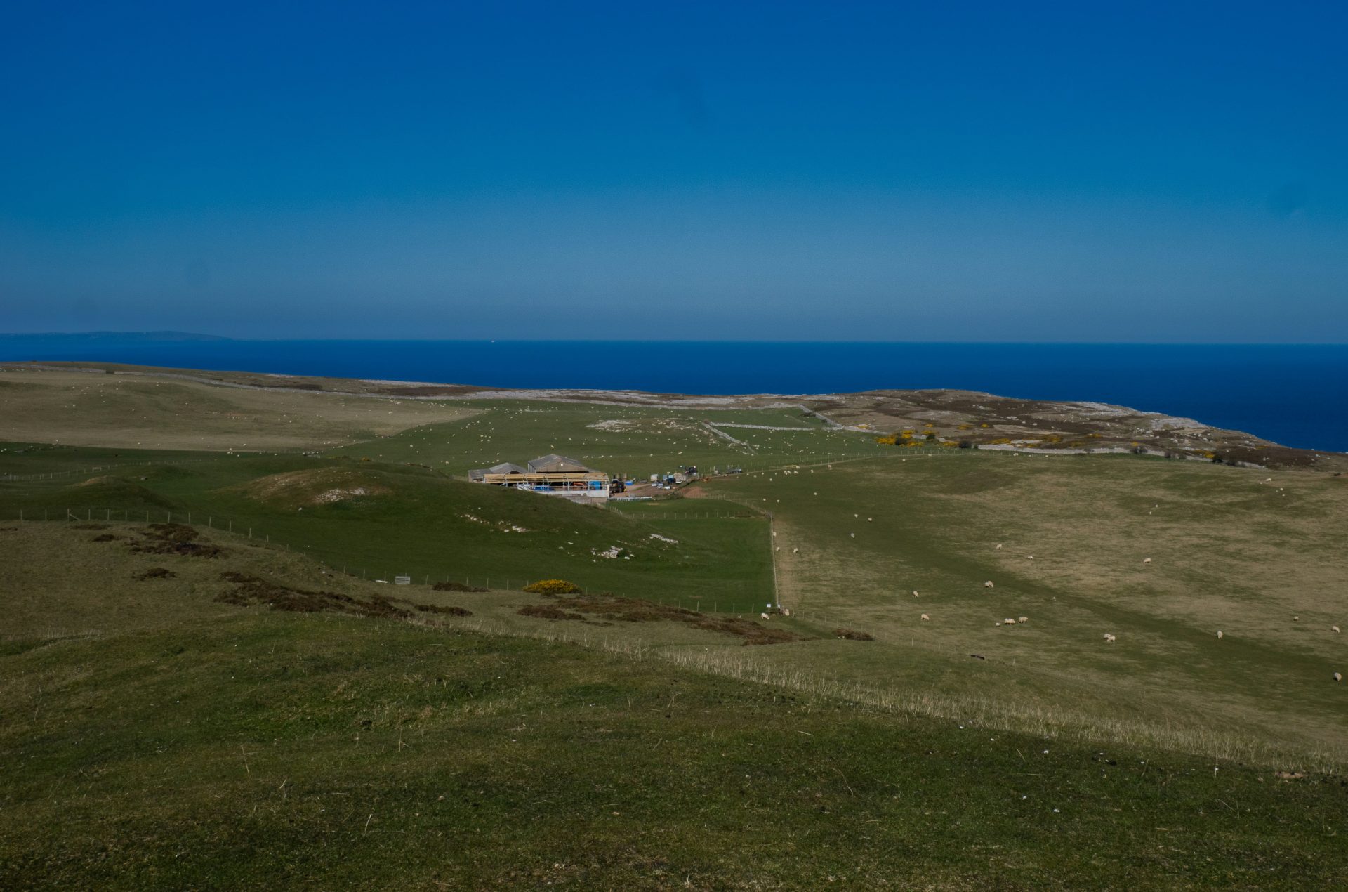 Grassy landscape meets the sea under a blue sky.
